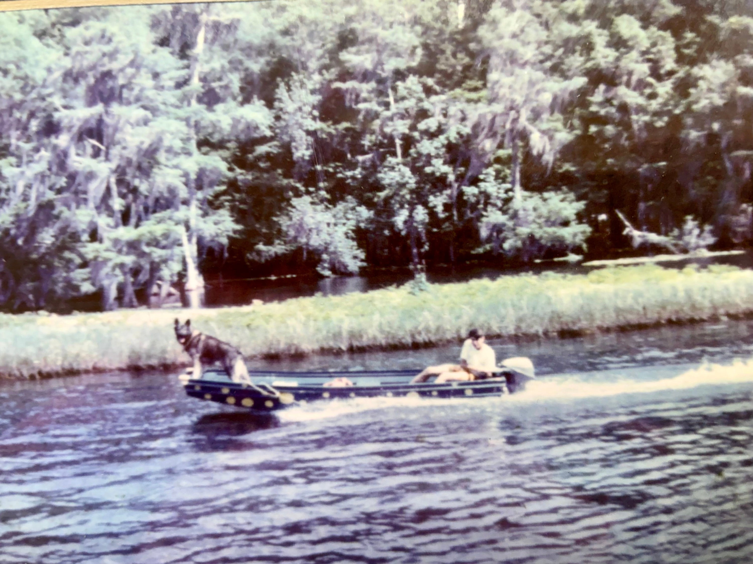 A teenage Chuck Hess on a boat on the Rainbow River with his dog Smokey.