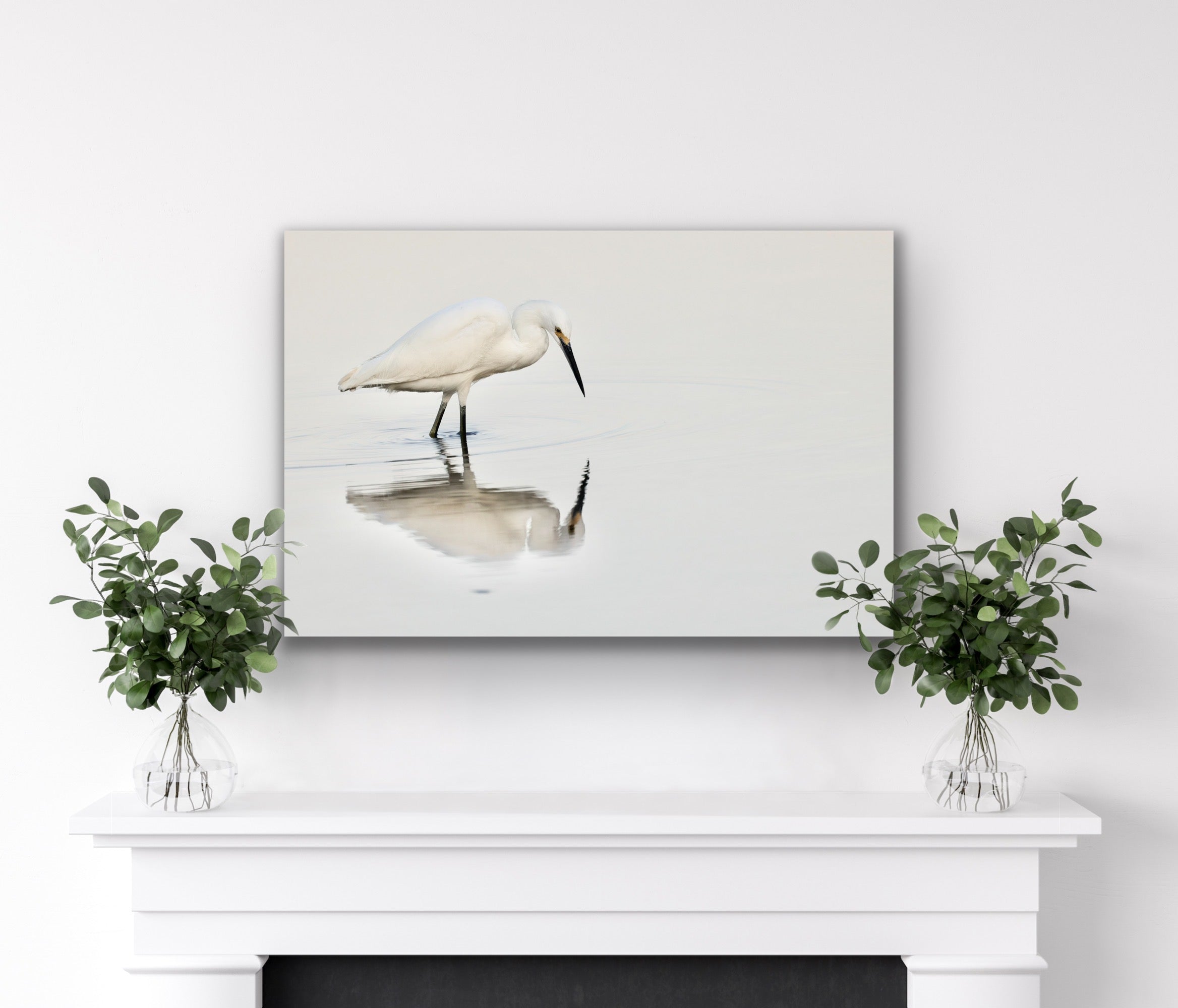 REFLECTION ON WHITE